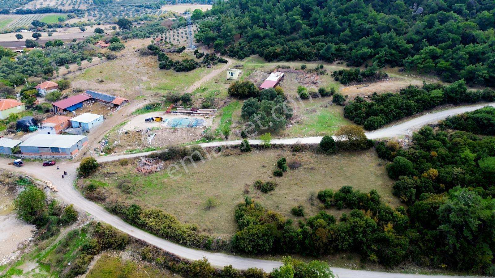 Kınık Musacalıda 2.461 M² Satılık Arsa | Müstakil Yaşam Fırsatı — fotoğraf 15