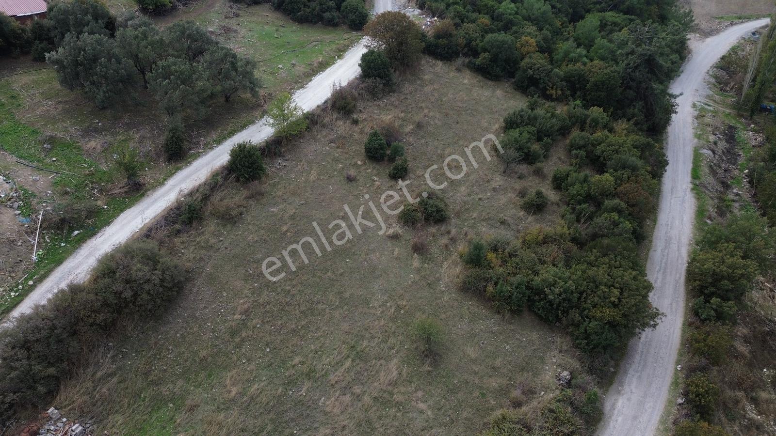 Kınık Musacalıda 2.461 M² Satılık Arsa | Müstakil Yaşam Fırsatı — fotoğraf 22