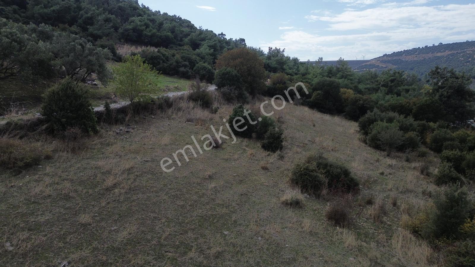 Kınık Musacalıda 2.461 M² Satılık Arsa | Müstakil Yaşam Fırsatı — fotoğraf 26