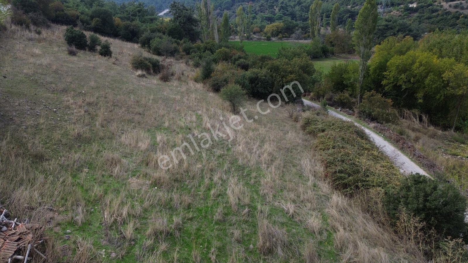 Kınık Musacalıda 2.461 M² Satılık Arsa | Müstakil Yaşam Fırsatı — fotoğraf 31