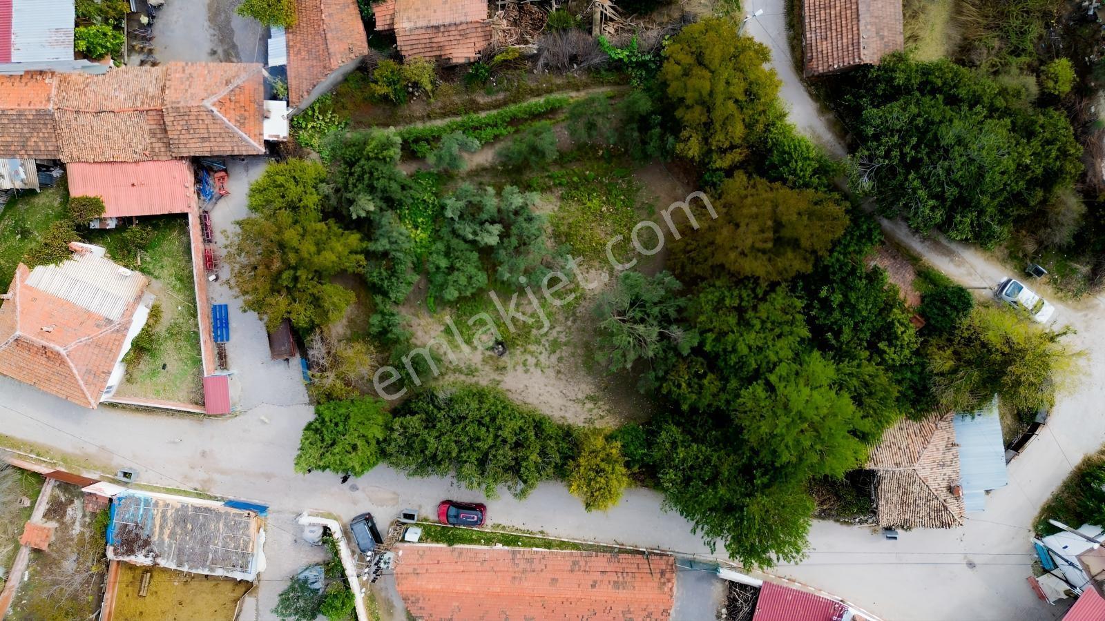 Kınık Musacalıda 939 M² Konut İmarlı Fırsat Satılık Arsa! — fotoğraf 4