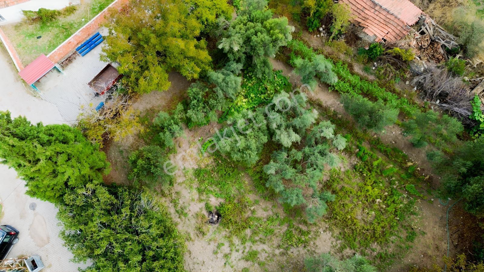 Kınık Musacalıda 939 M² Konut İmarlı Fırsat Satılık Arsa! — fotoğraf 25