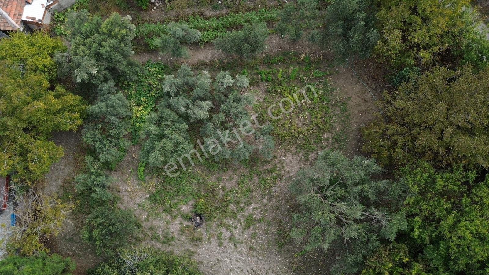 Kınık Musacalıda 939 M² Konut İmarlı Fırsat Satılık Arsa! — fotoğraf 27