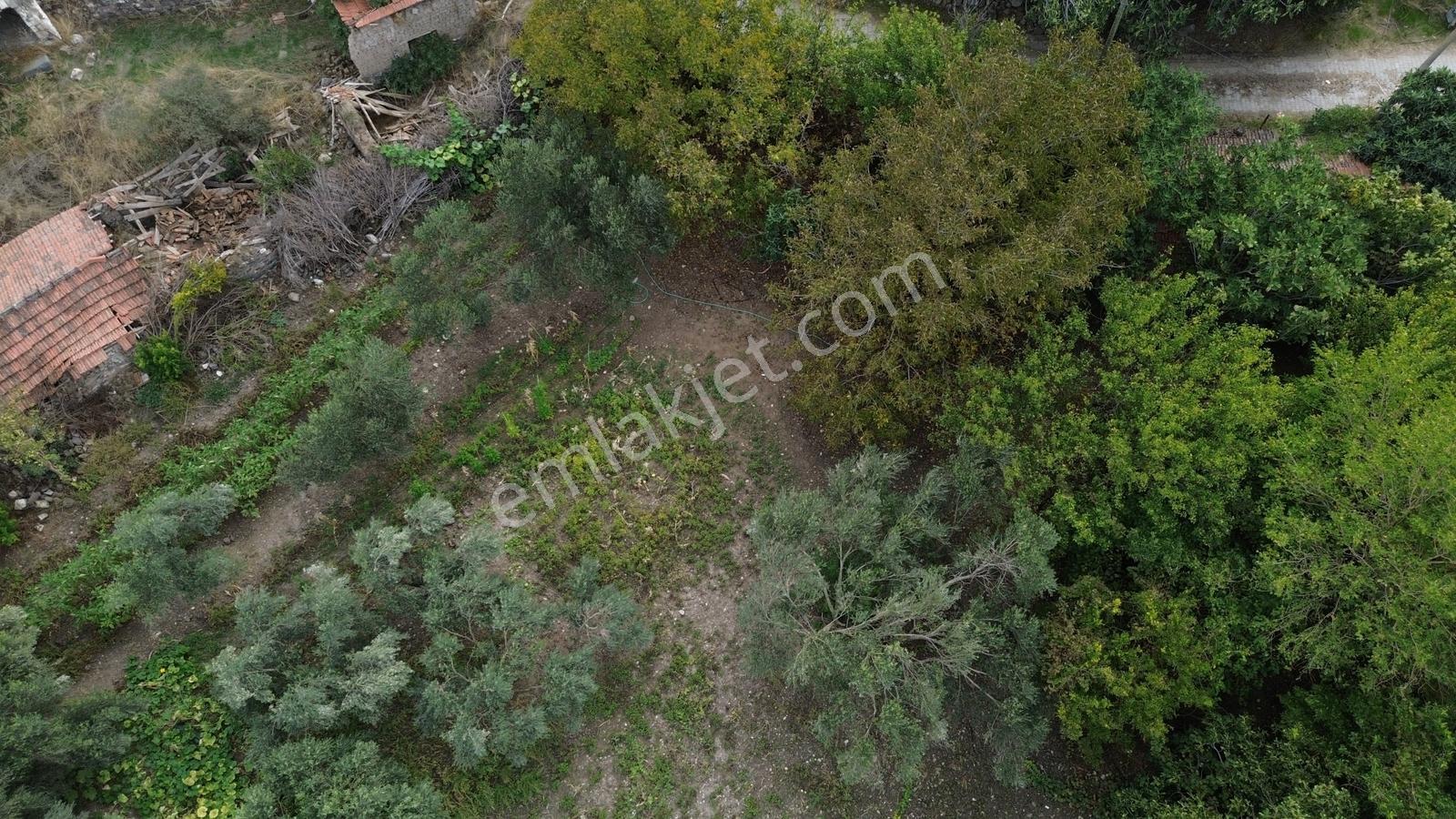 Kınık Musacalıda 939 M² Konut İmarlı Fırsat Satılık Arsa! — fotoğraf 28