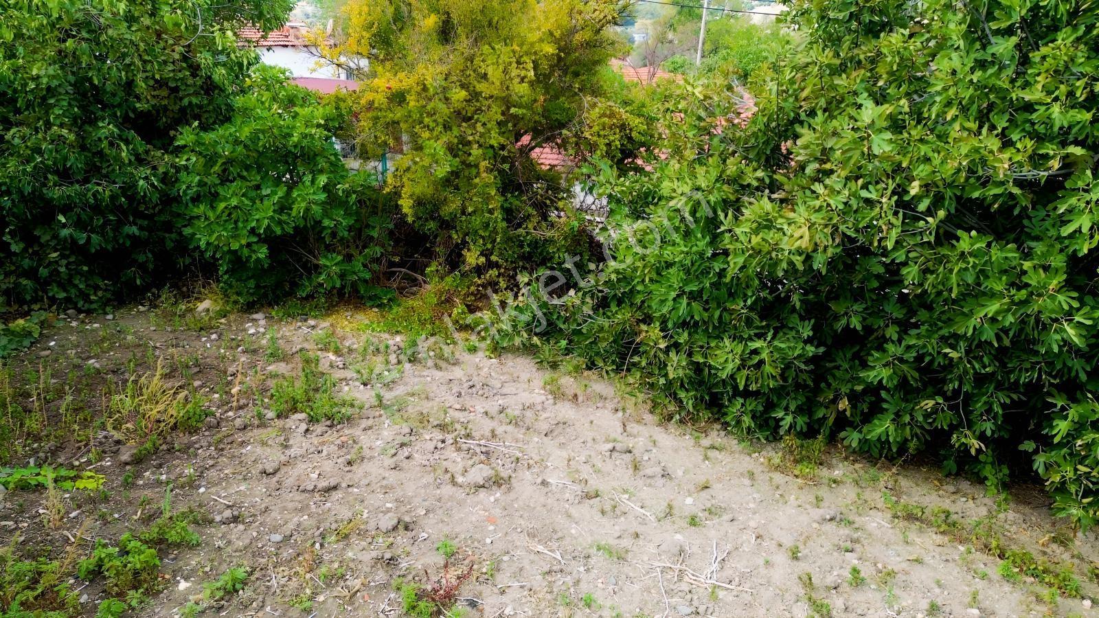 Kınık Musacalıda 939 M² Konut İmarlı Fırsat Satılık Arsa! — fotoğraf 31