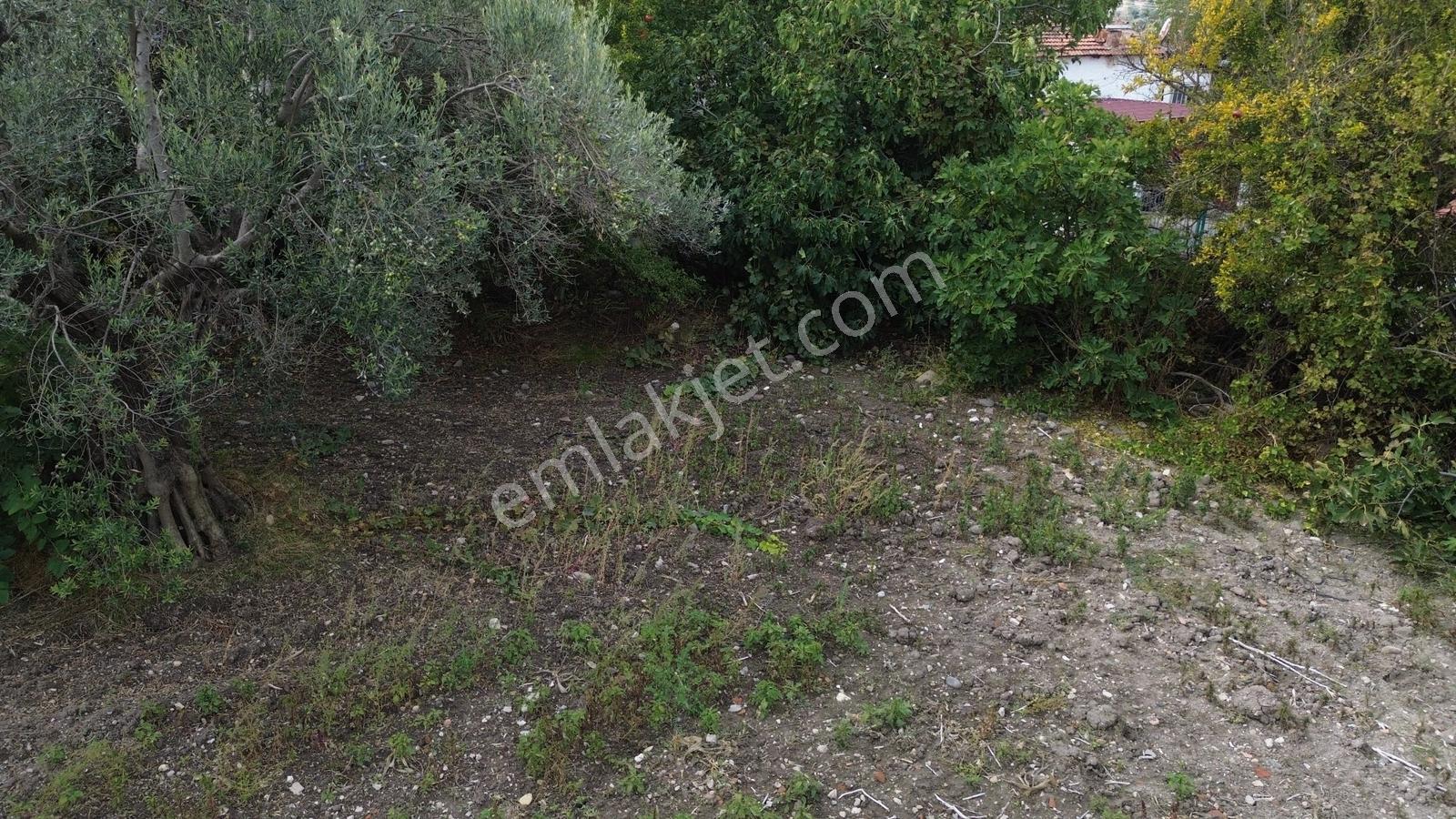 Kınık Musacalıda 939 M² Konut İmarlı Fırsat Satılık Arsa! — fotoğraf 32