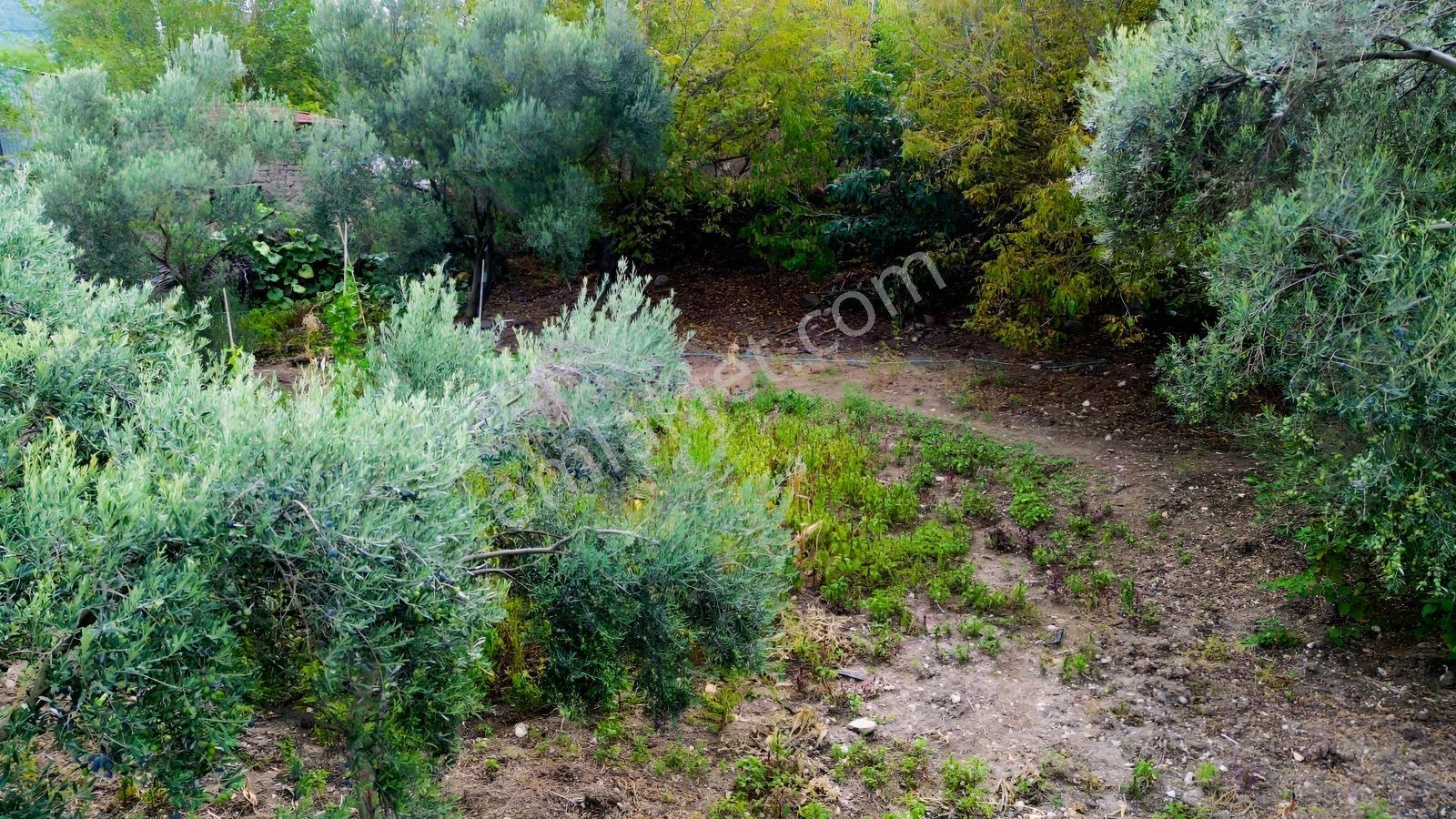 Kınık Musacalıda 939 M² Konut İmarlı Fırsat Satılık Arsa! — fotoğraf 34