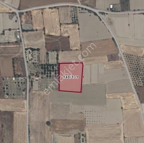 Burdur Bucak Ürkütlü Mh'de Satılık 7276m² Tarla — fotoğraf 2