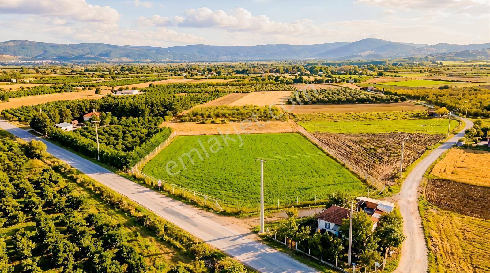 İnegöl Merkeze Yakın Deydinler Kasabasında Asfalt Cephe Tek Tapu — fotoğraf 4