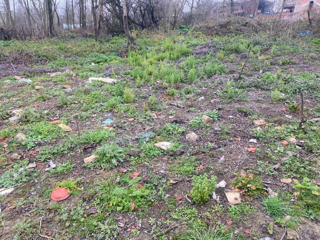 Kandıra Selimli Köy Satılık Arsa — fotoğraf 4