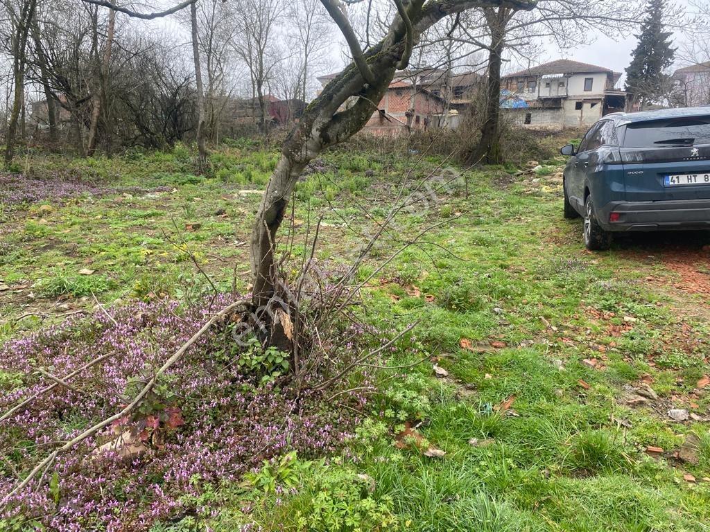 Kandıra Selimli Köy Satılık Arsa — fotoğraf 6