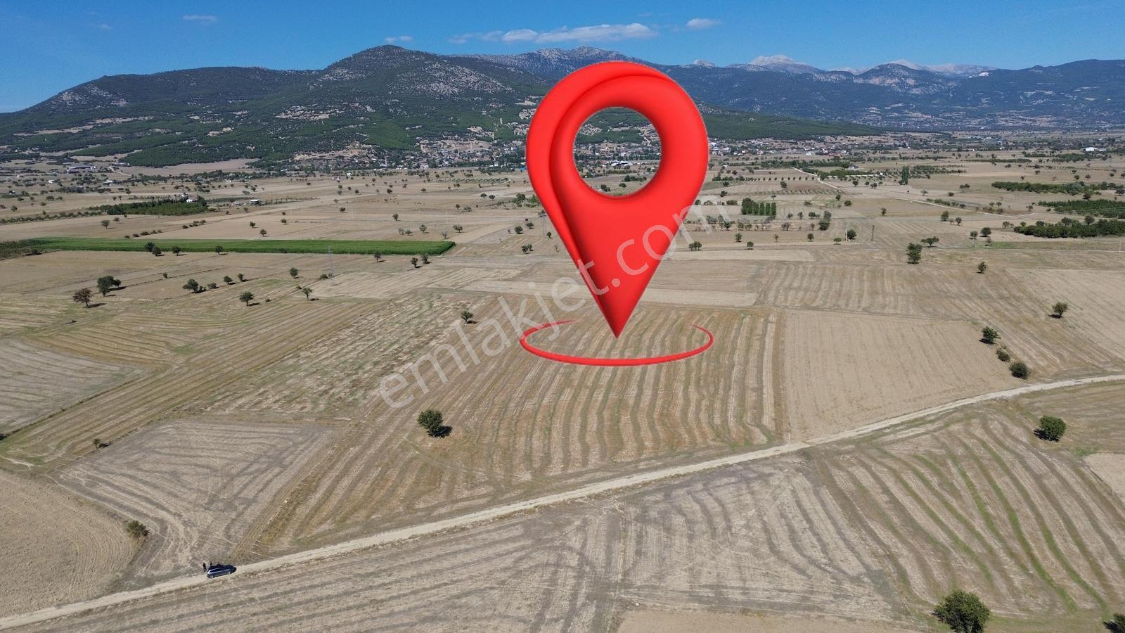 Burdur Bucak Ürkütlü Mh'De Satılık 14.410M² Tarla