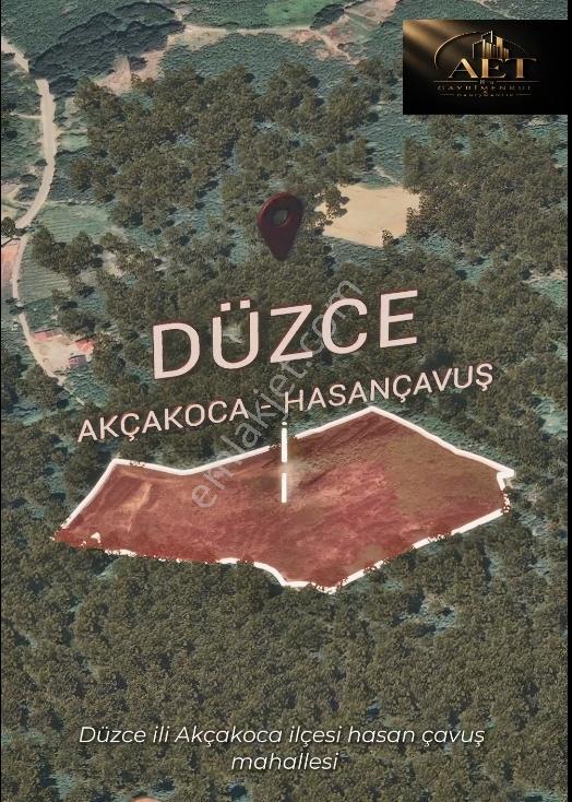 Düzce-Akçakoya / Hasançavuş Satılık 24573 M² Çiftlik Arsası