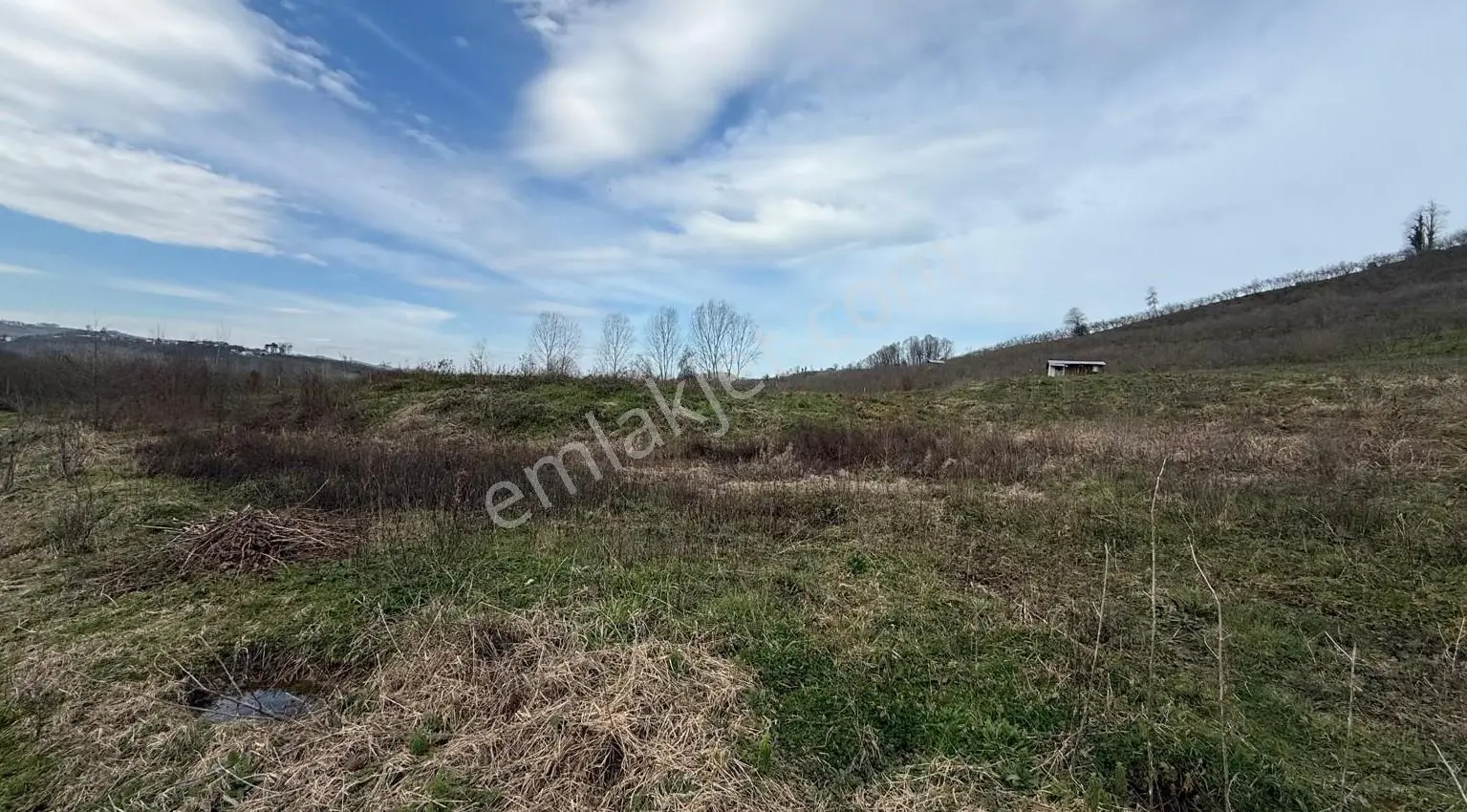 Düzce-akçakoya / Hasançavuş Satılık 24573 M² Çiftlik Arsası — fotoğraf 5