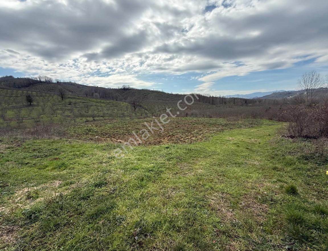 Düzce-akçakoya / Hasançavuş Satılık 24573 M² Çiftlik Arsası — fotoğraf 9