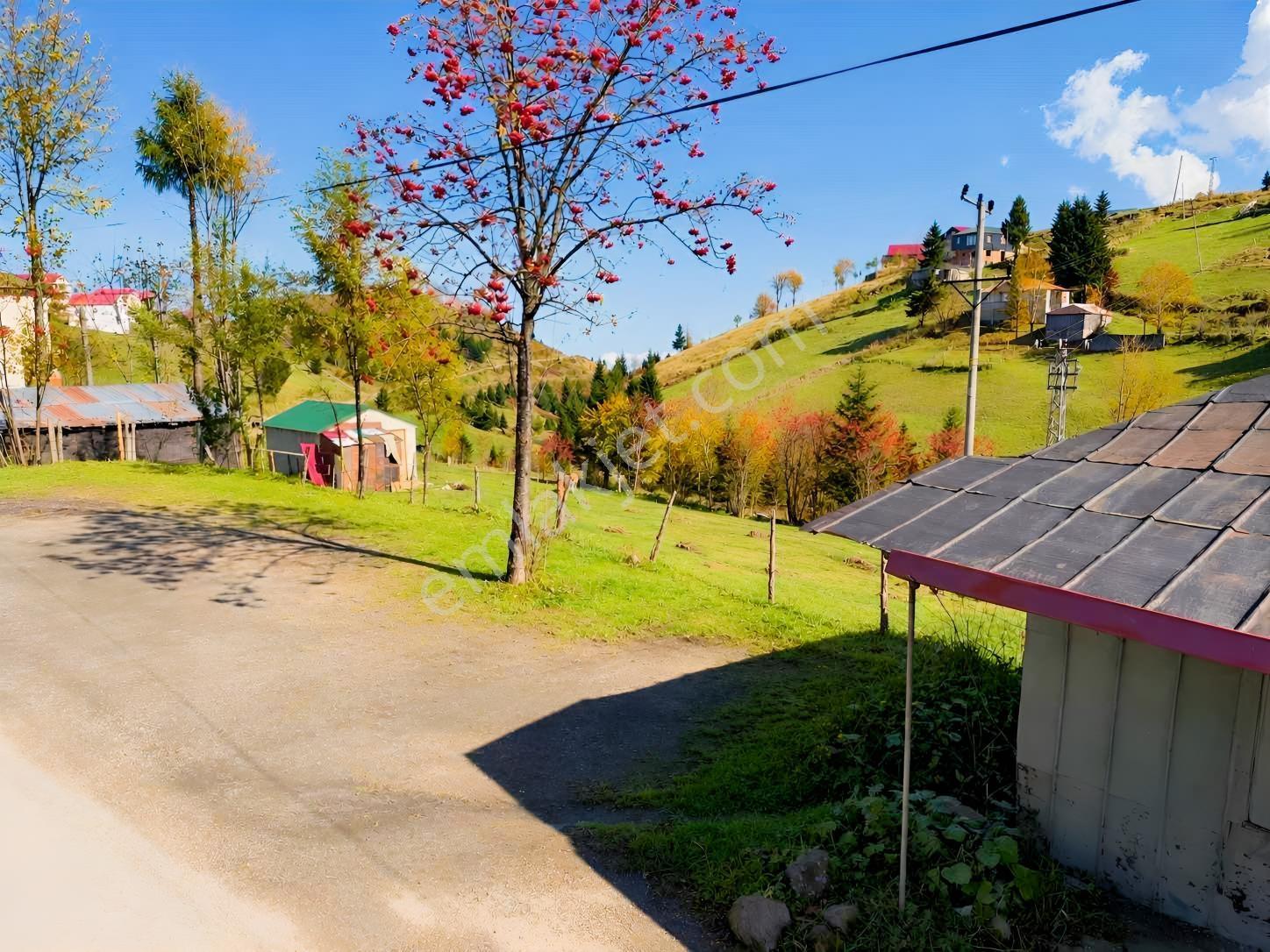 Trabzon Işıklar Ortamahallede Satılık Yatırımlık Arsa! — fotoğraf 4