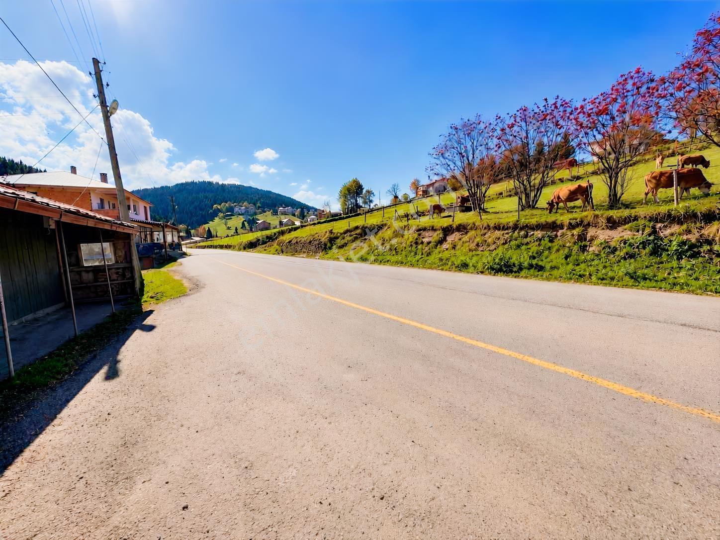 Trabzon Işıklar Ortamahallede Satılık Yatırımlık Arsa! — fotoğraf 9