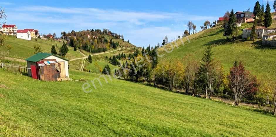 Trabzon Işıklar Ortamahallede Satılık Yatırımlık Arsa! — fotoğraf 13