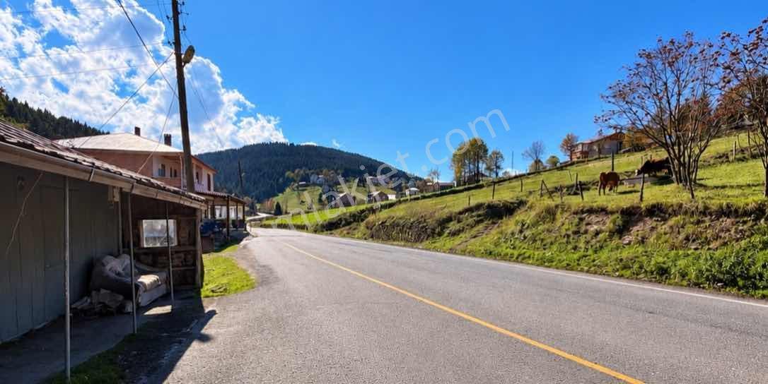 Trabzon Işıklar Ortamahallede Satılık Yatırımlık Arsa! — fotoğraf 16