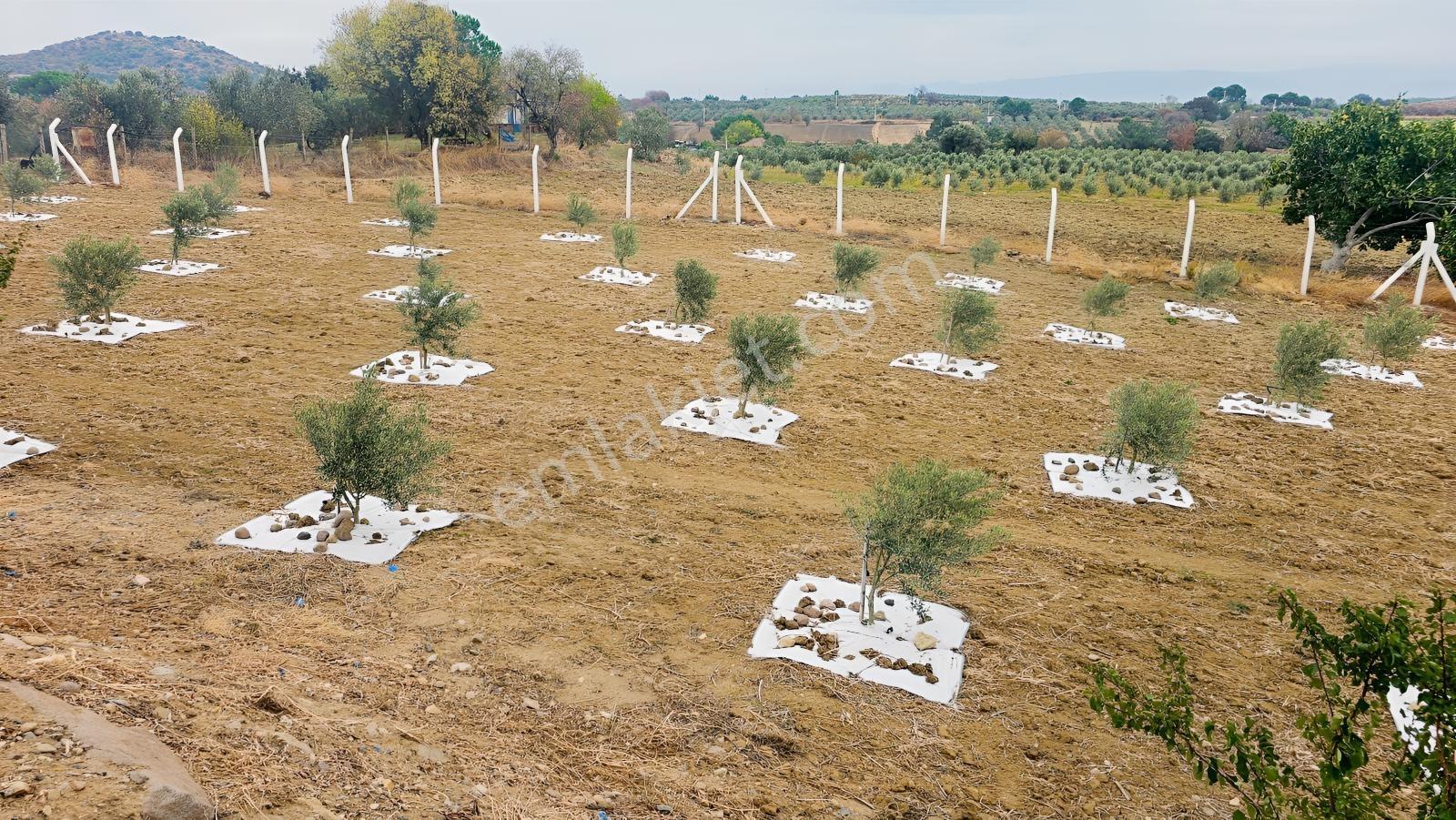 Bergama'Da Baraj Manzaralı Yaşam Alanı (5439 M2)