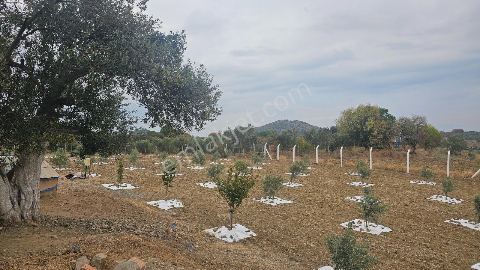Bergama'da Baraj Manzaralı Yaşam Alanı (5439 M2) — fotoğraf 3