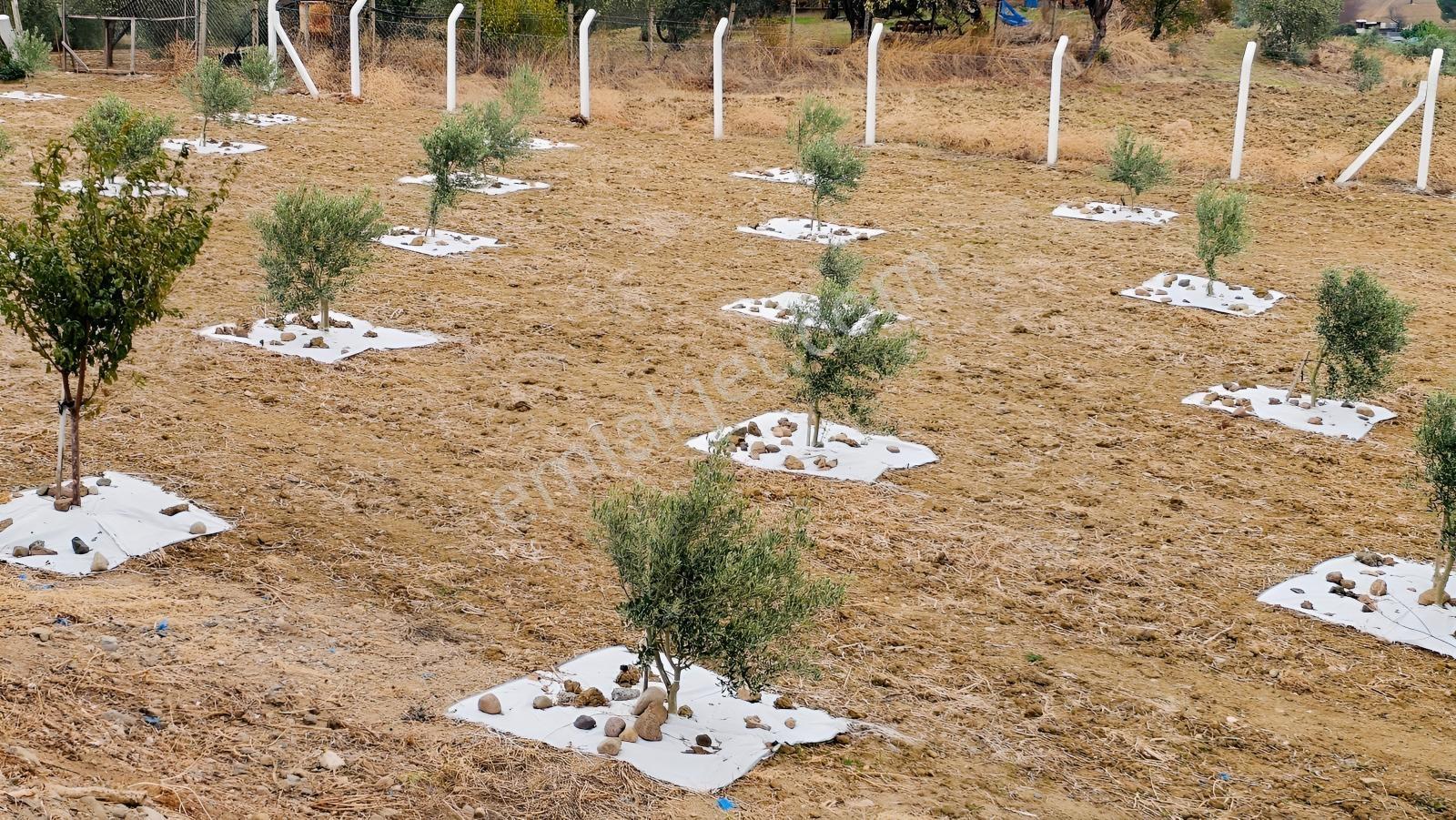 Bergama'da Baraj Manzaralı Yaşam Alanı (5439 M2) — fotoğraf 7