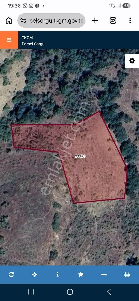 Onikişubat Kürtül Fatih Sultanda Satılık 2.447 M² Bağ Arazisi