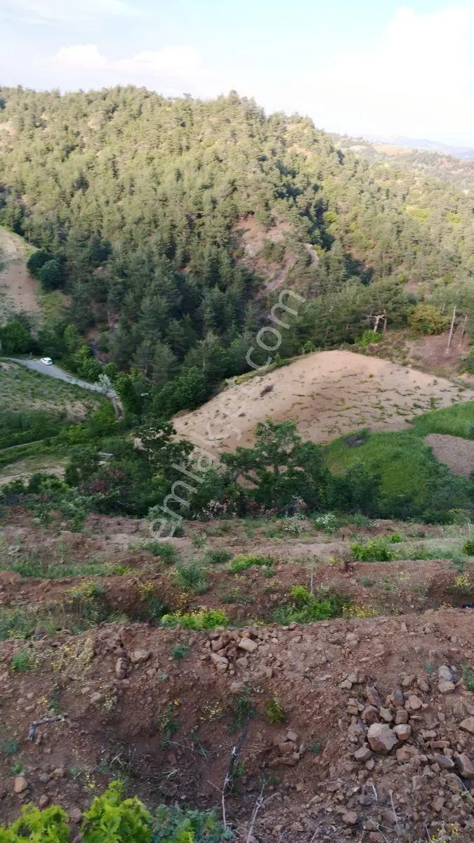 Onikişubat Kürtül Fatih Sultanda Satılık 2.447 M² Bağ Arazisi — fotoğraf 3