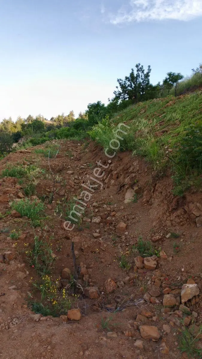 Onikişubat Kürtül Fatih Sultanda Satılık 2.447 M² Bağ Arazisi — fotoğraf 6