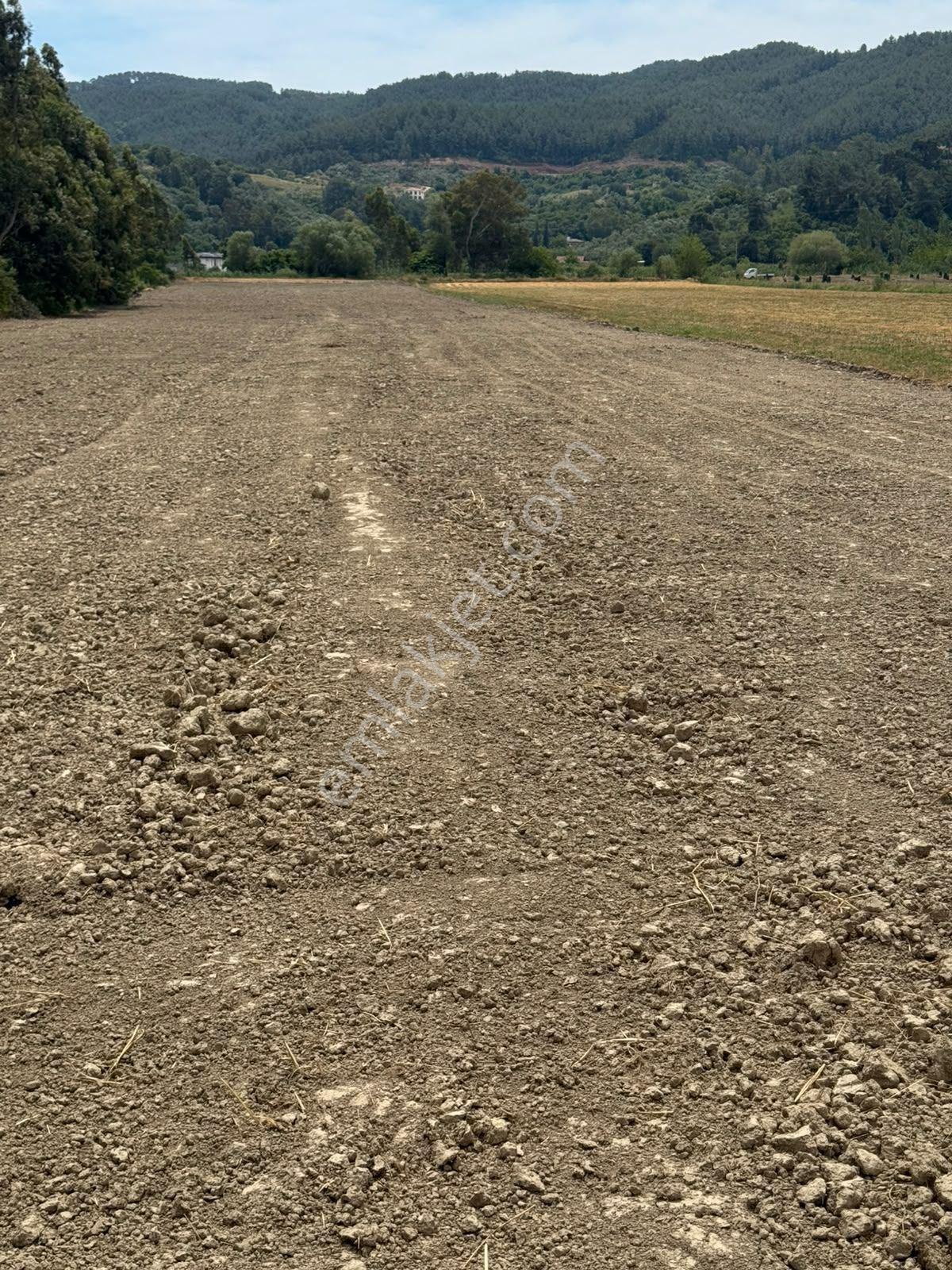 Ula Çıtlık Mah. Satılık 8296 M2 Müstakil Parsel Tarla — fotoğraf 4
