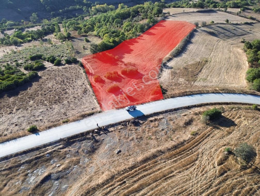 Çanakkale Lapseki Beyçayır'da Asfalt Yola Cepheli — fotoğraf 2