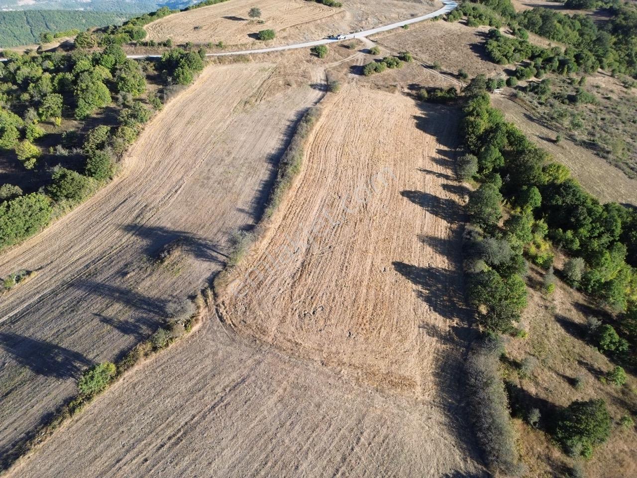 Çanakkale Lapseki Beyçayır'da Asfalt Yola Cepheli — fotoğraf 21