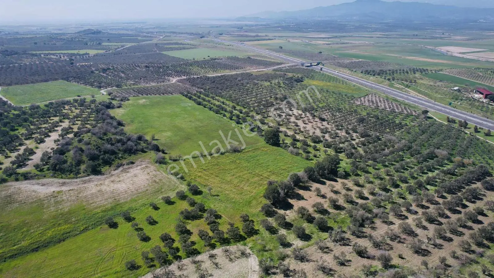 Bergama Zeytindağda Satılık Tarla — fotoğraf 7