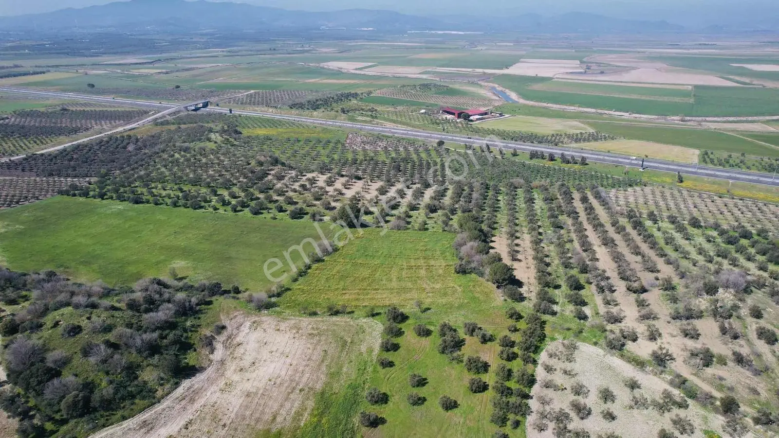 Bergama Zeytindağda Satılık Tarla — fotoğraf 8