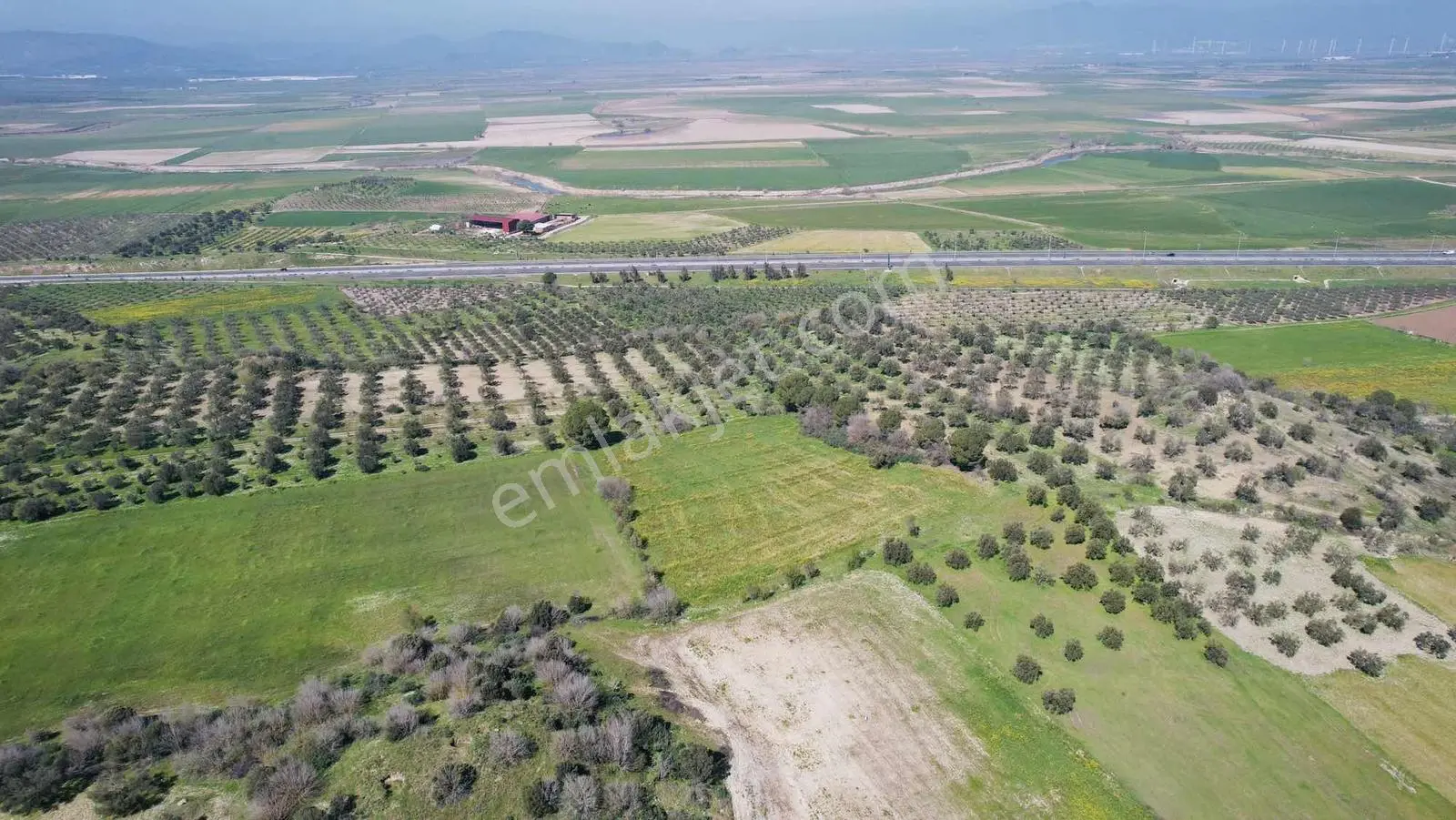 Bergama Zeytindağda Satılık Tarla — fotoğraf 9