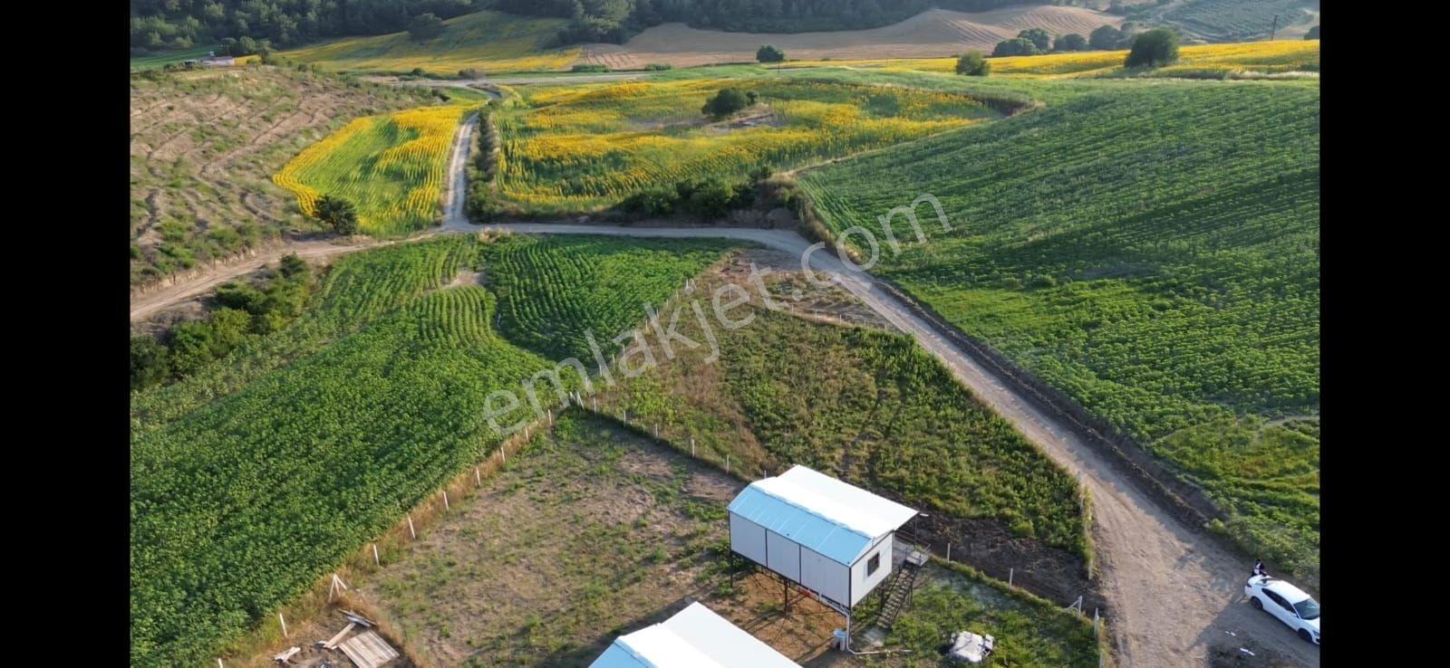 Salbaş Kuzgun Satılık 395 M2 Cazip Uygun Arsa
