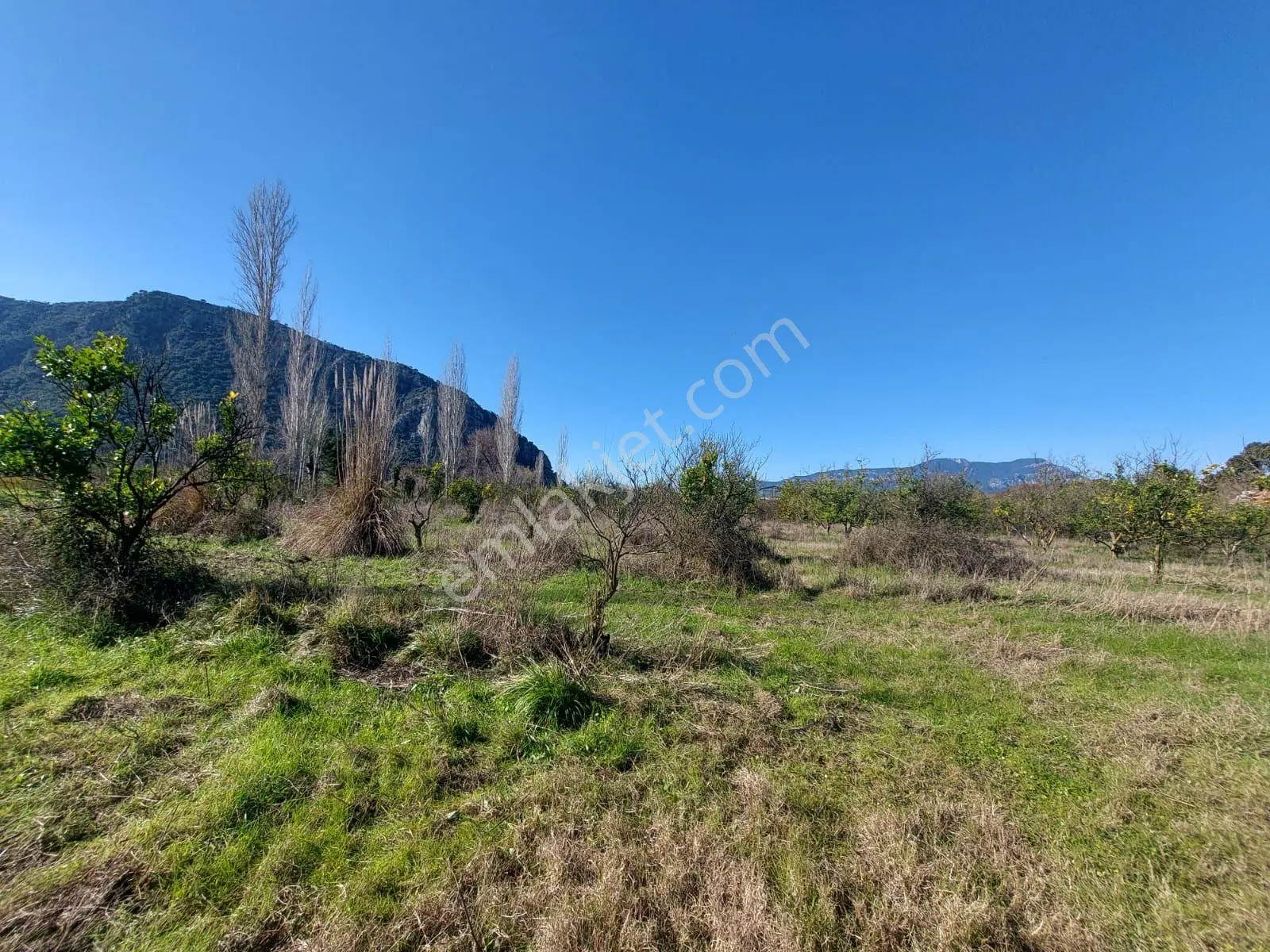 Ortaca Okçular Marmarlıda 500 M2 Arsa Satılık Veya Dalyandan Dükkan İle Takas — fotoğraf 2