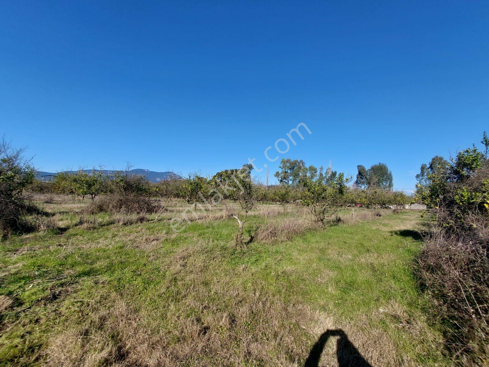Ortaca Okçular Marmarlıda 500 M2 Arsa Satılık Veya Dalyandan Dükkan İle Takas — fotoğraf 6
