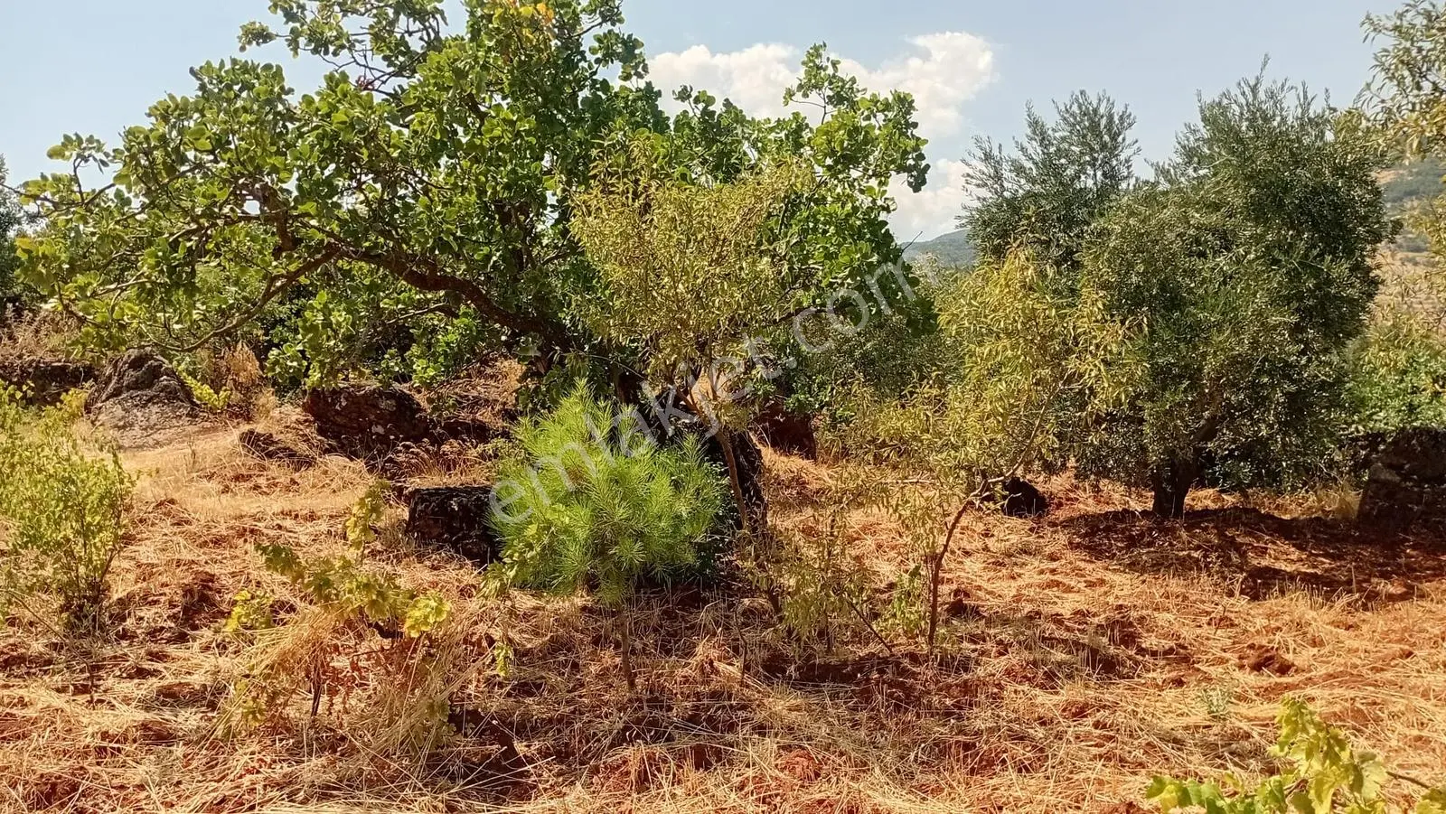 Fatmalı'da Satılık Fırsat Arazi ! — fotoğraf 4