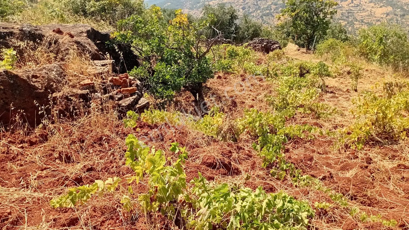 Fatmalı'da Satılık Fırsat Arazi ! — fotoğraf 7