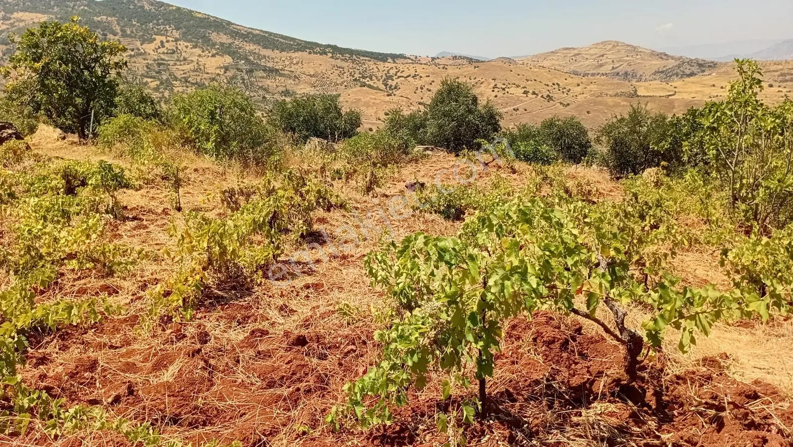 Fatmalı'da Satılık Fırsat Arazi ! — fotoğraf 9