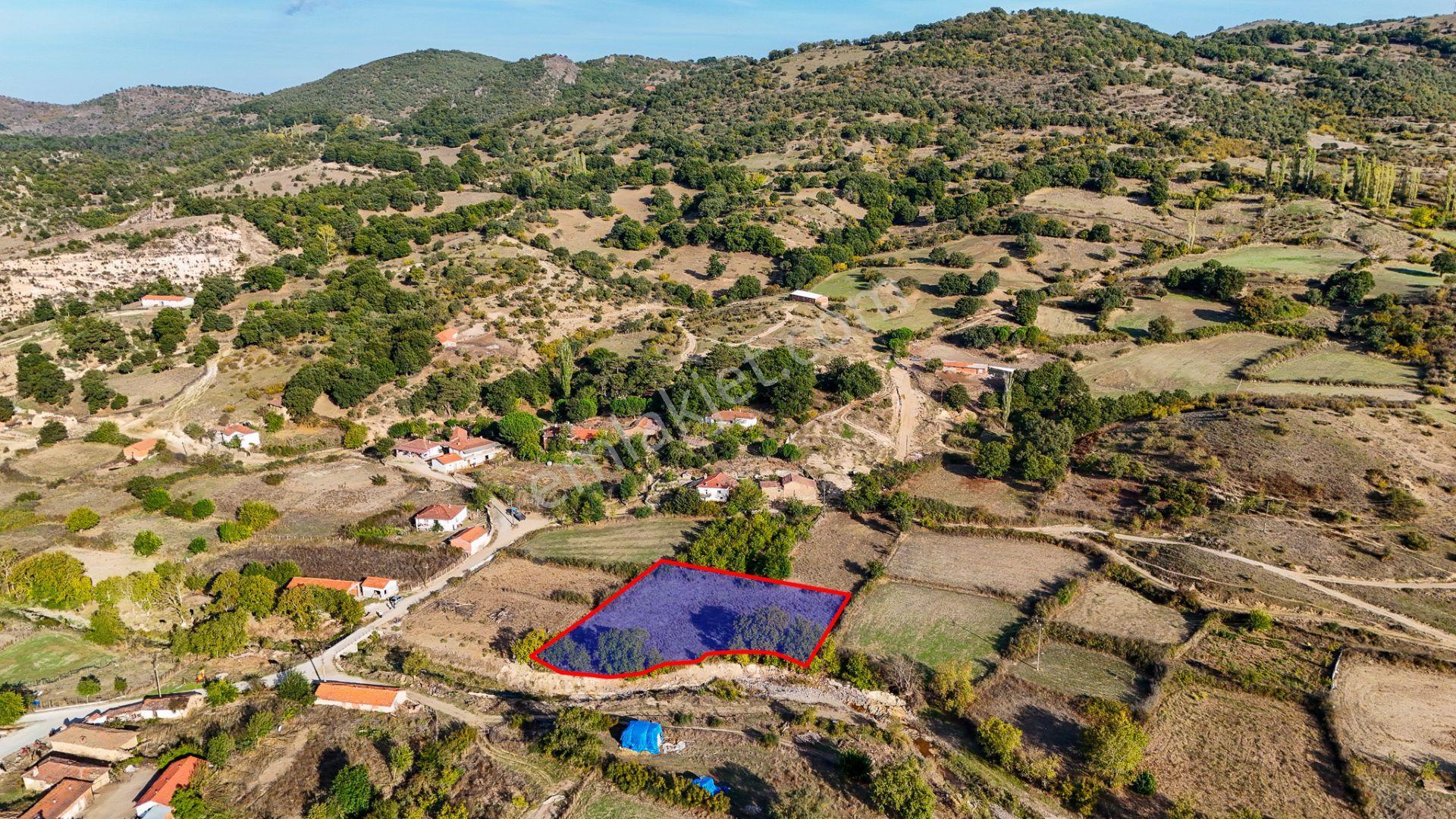 Re/max Mid Balıkesir Balya Müstecap Satılık Müstakil Parsel Bahçe — fotoğraf 6