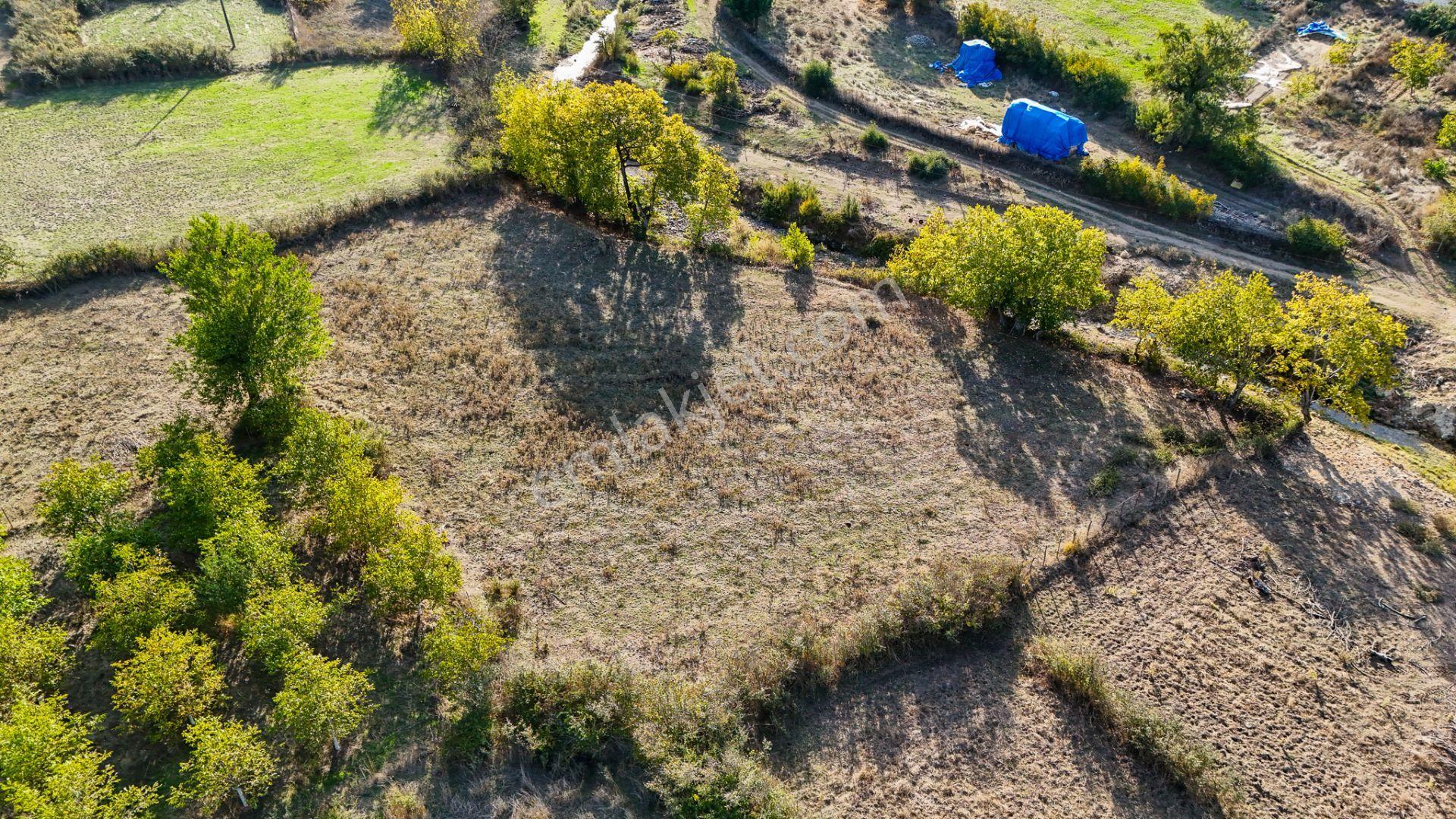 Re/max Mid Balıkesir Balya Müstecap Satılık Müstakil Parsel Bahçe — fotoğraf 8