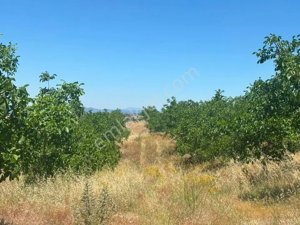 Tc Emlaktan Satılık ​ Toplam 220 Dönüm Arazi ! Fırsat ! — fotoğraf 4