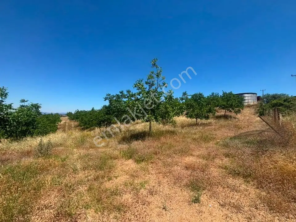 Tc Emlaktan Satılık ​ Toplam 220 Dönüm Arazi ! Fırsat ! — fotoğraf 5