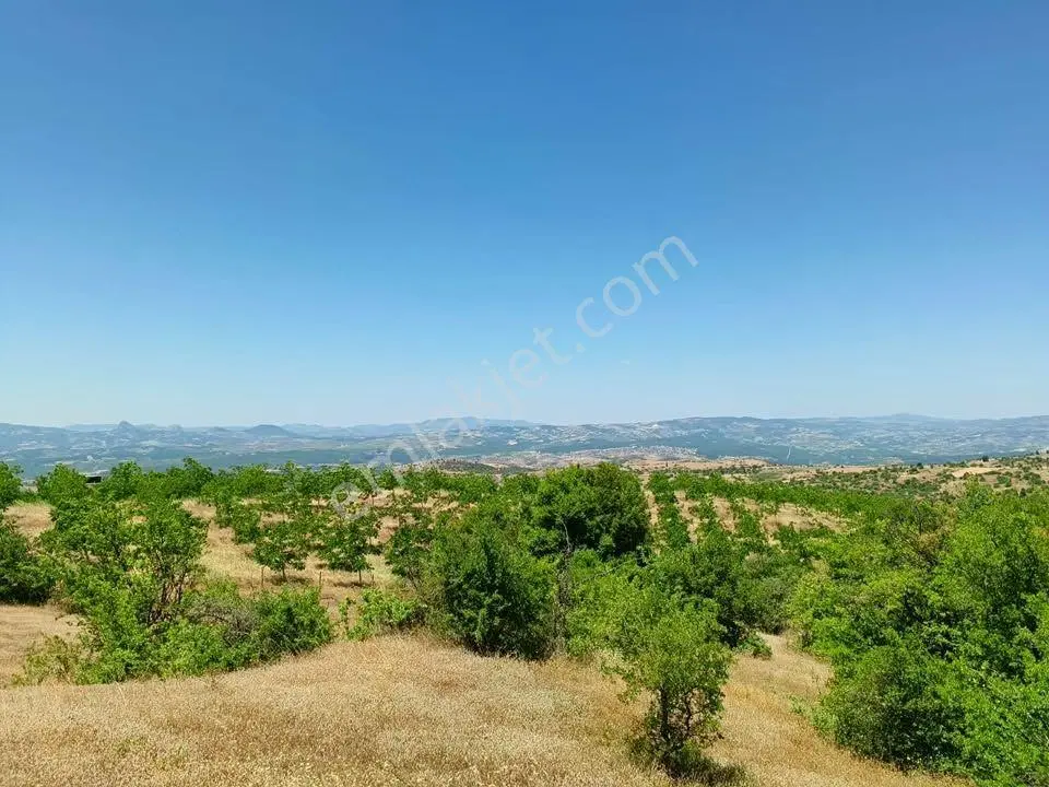 Tc Emlaktan Satılık ​ Toplam 220 Dönüm Arazi ! Fırsat ! — fotoğraf 9