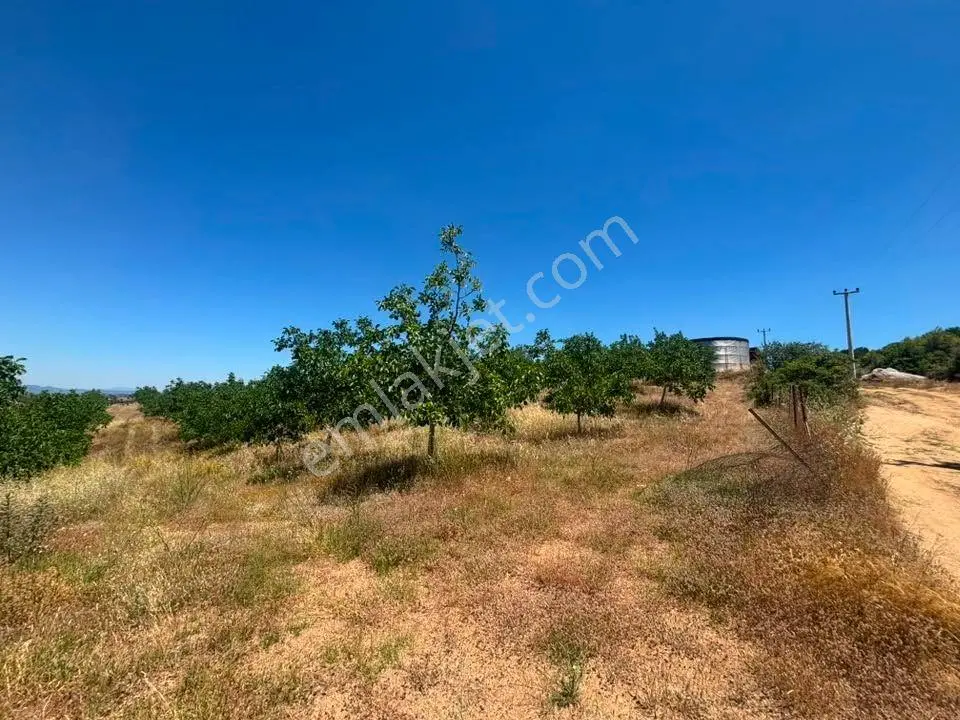 Tc Emlaktan Satılık ​ Toplam 220 Dönüm Arazi ! Fırsat ! — fotoğraf 12