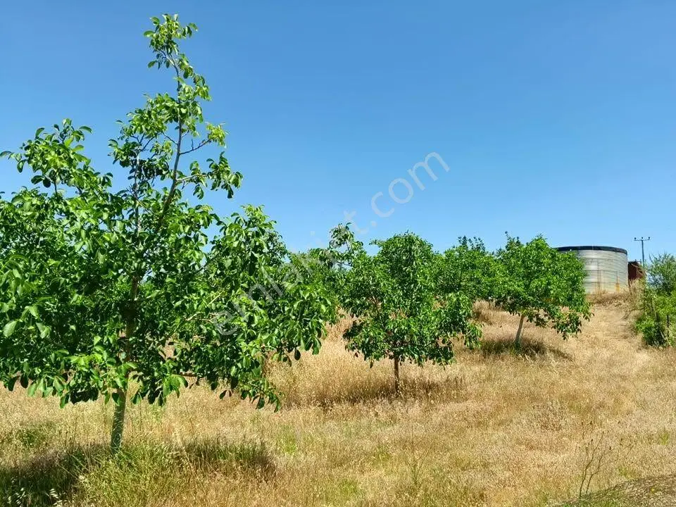Tc Emlaktan Satılık ​ Toplam 220 Dönüm Arazi ! Fırsat ! — fotoğraf 15