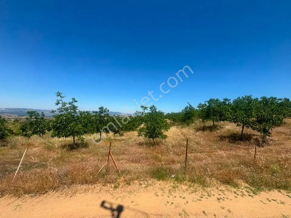 Tc Emlaktan Satılık ​ Toplam 220 Dönüm Arazi ! Fırsat ! — fotoğraf 23