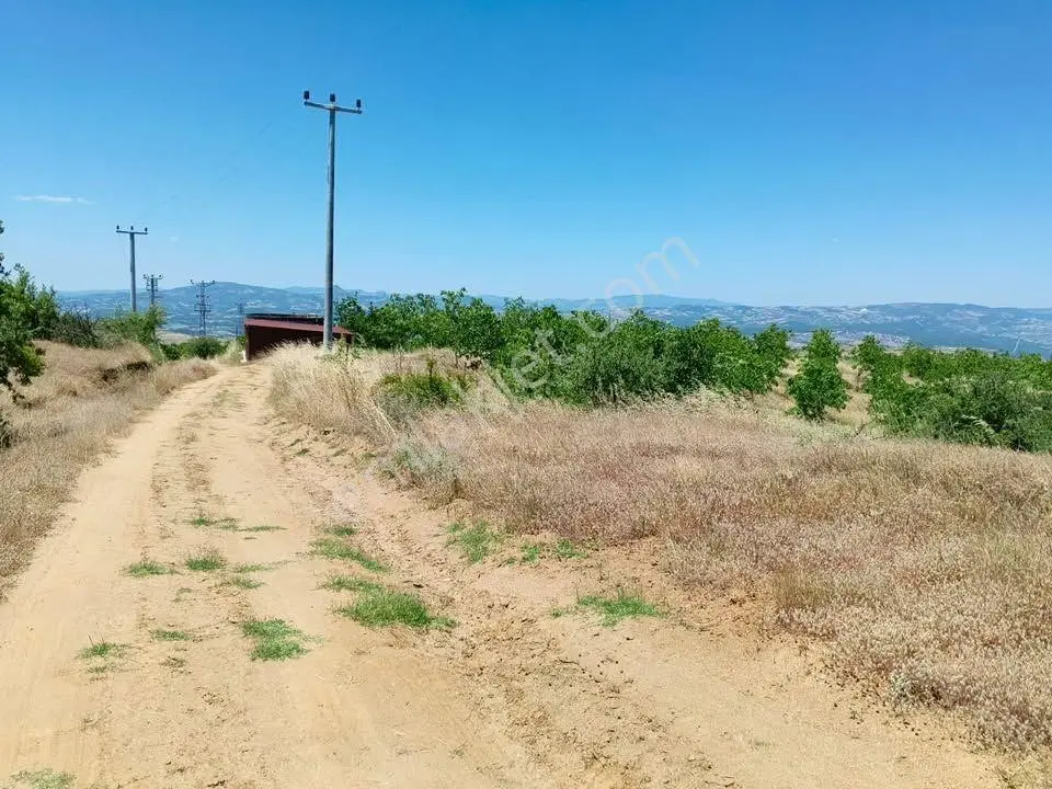 Tc Emlaktan Satılık ​ Toplam 220 Dönüm Arazi ! Fırsat ! — fotoğraf 25